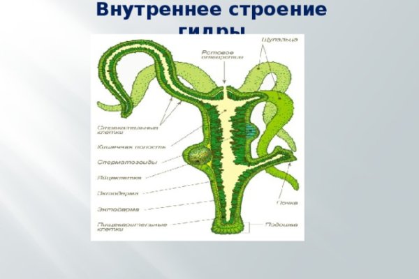 Кракен store