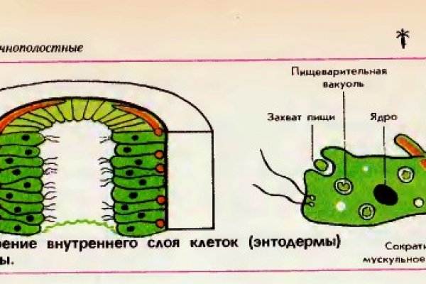 Купон кракен даркнет