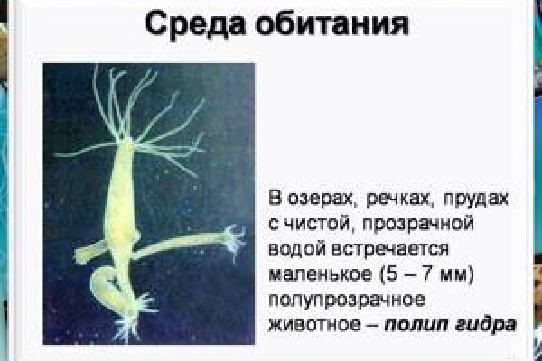 Кракен пользователь не найден что